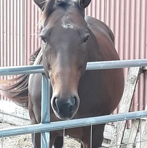 Meet your Posher, Mary jo